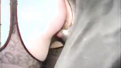 Bestiality porn: artofzoo horse fire bestiality