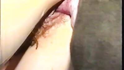Dog sex video: real sex with dog on hidden cam