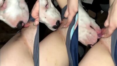 Teen dog sex: watch girl and dog sex