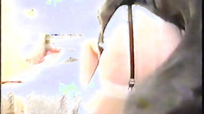 Dog gay porn: zoophilia turtle