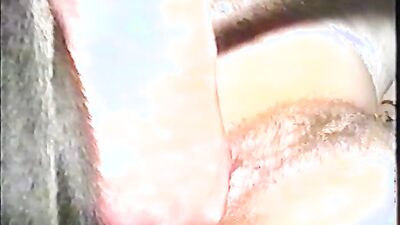 Dog gay porn: zoophilia turtle