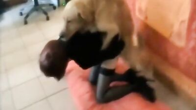 Bestiality xxx: zoo porn sex tube