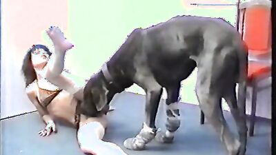 Russian zoo porn: amateur women and doğ sex