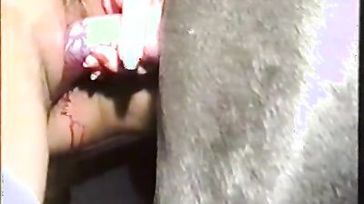 Russian zoo porn: amateur women and doğ sex
