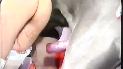 Russian zoo porn: amateur women and doğ sex