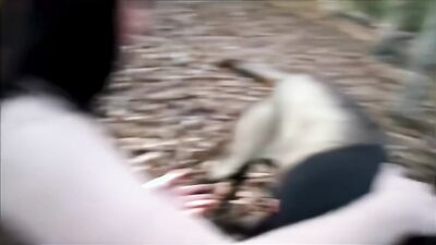 Zoophilia porn: gay men zoo porn