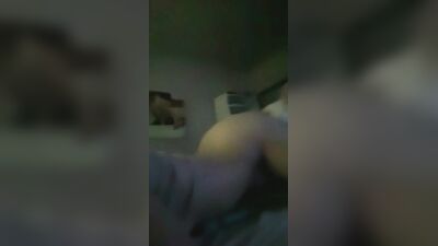 Animal dog sex: love dogs porn