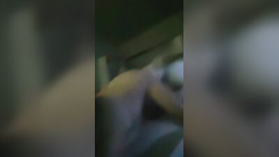 Animal dog sex: love dogs porn