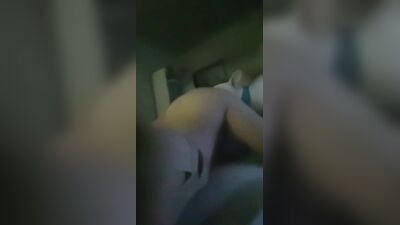 Animal dog sex: love dogs porn