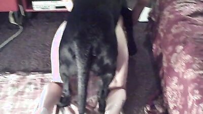 Dog sex: chessy moore sex with dog