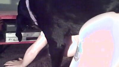 Dog sex: chessy moore sex with dog