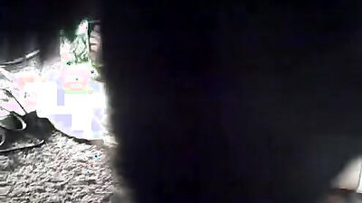 Zoophilia porn: bestiality mods