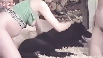 Dog sex girl: porno animals licking nipples