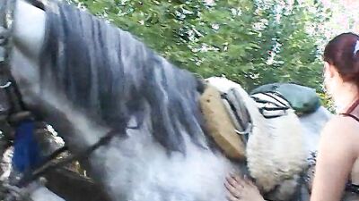 Zoo sex: porno animal pig