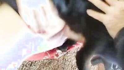 Dog girl 1: zoo porn adilia