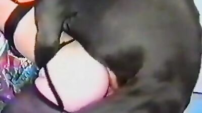 Bestiali comics: wife try dog sex video