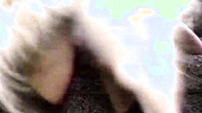 Animal porno: show zoo porn