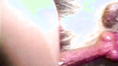 Animal porno: show zoo porn