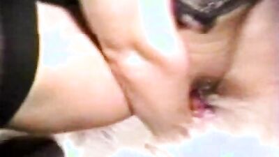 Animal porno: show zoo porn