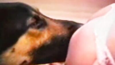 Bestiality dog: zoo deepthroat porn