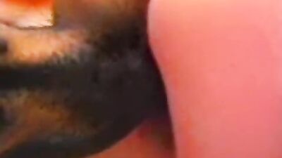 Bestiality dog: zoo deepthroat porn