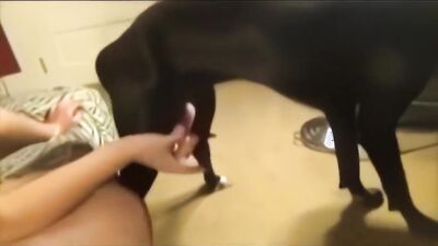 New zoo porn: dogs sperm porn