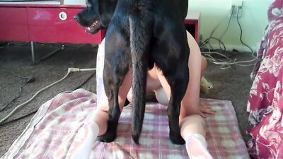 Dog teen girls: hotline zeta bestiality