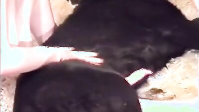 Girl dog video: mimi dog r34 porn