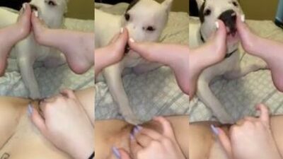 Dog gay porn: porn comix bestiality ben 10