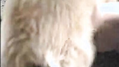 Dog porn: neopack 2 dog sex movie