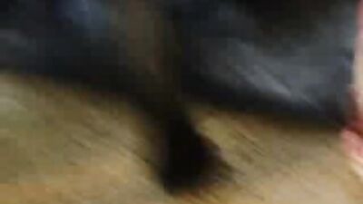 1 girl 5 dog: dog sex womens
