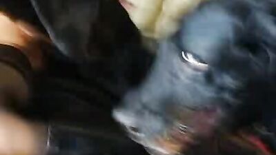 1 girl 5 dog: dog sex womens