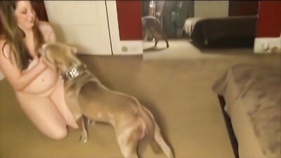 Dog fuck porn: sex animal mate