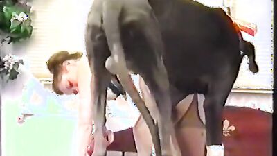 Zoo video: zooporno dog and girl compilation vk video