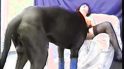 Animal sex video: zoo sex new 2026