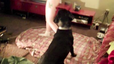 3d zoo porn: dog x girl hentai