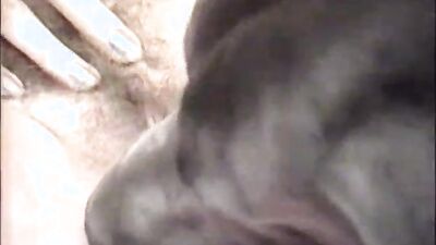 Zoo fuck porn: zoo porn sliv sex schoolgirl
