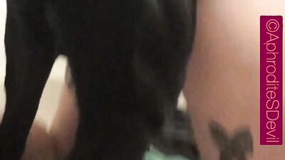 3d bestiality: zoo porn rimming