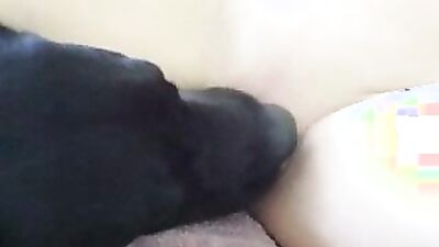 1 girl 5 dog: mimi dog typh porn