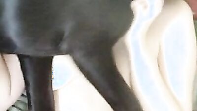 1 girl 5 dog: mimi dog typh porn