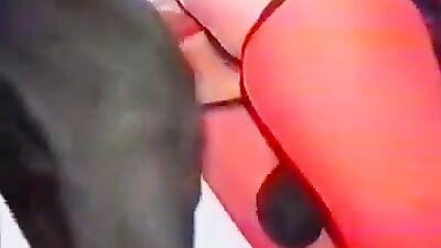 Dog lick girl: husband and dog fuck wife bestiality