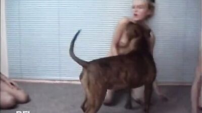 New zoo porn: 3d bbv sex dog compilation zoo porno