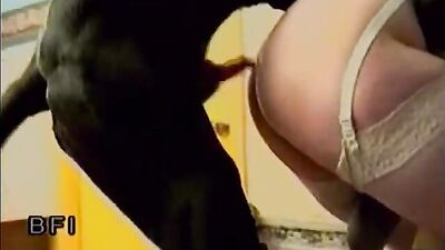 Animal sex video: girls and dogs zoo