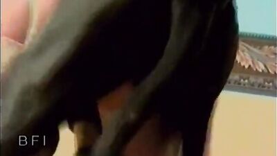 Animal sex video: girls and dogs zoo