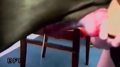 Animal sex video: aoz art of zoo porno