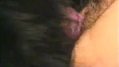 Dog girl 1: porno casting animals