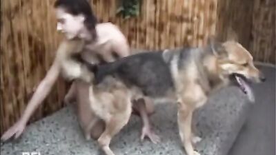 Bestiality porno: parking dog porn