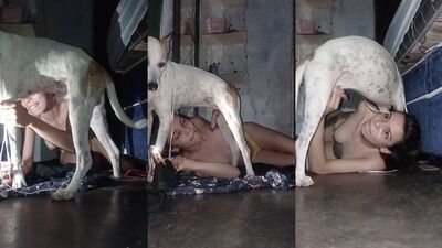 Bestiality sex id: zoophilia dolphin