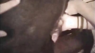 Porn bestiality: zoo porn woman fuck