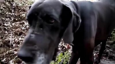 Dog fuck girls fucking: xnxx zoo bestiality